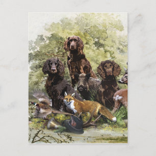 German Spaniels (  Deutscher Wachtelhund ) Holiday Postcard