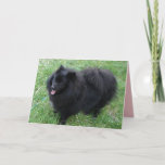 German Spitz Cute Black Pomeranian dogs Card<br><div class="desc">German Spitz Cute Black Pomeranian dogs Card. Designed from one of my original photos,  enjoy!</div>