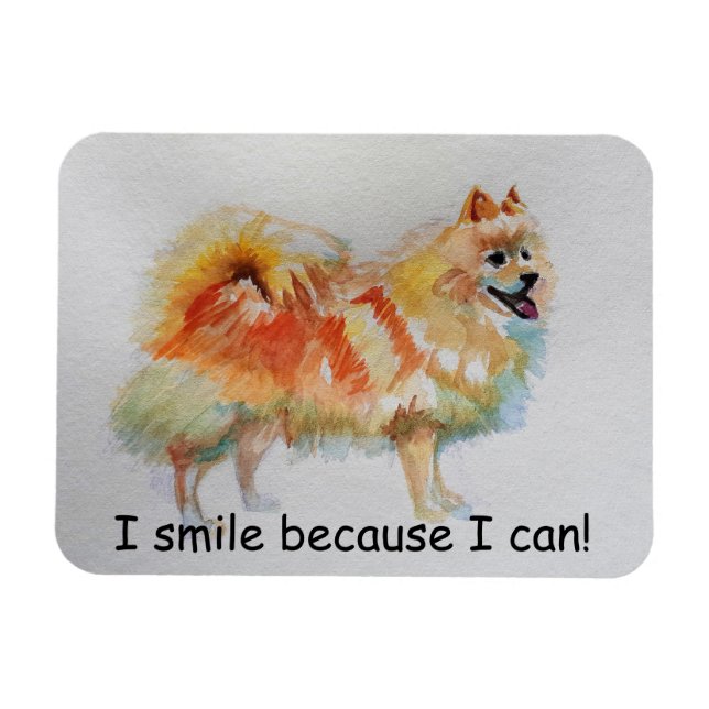 German Spitz Dog 'I Smile Because I Can' Card Magnet (Horizontal)