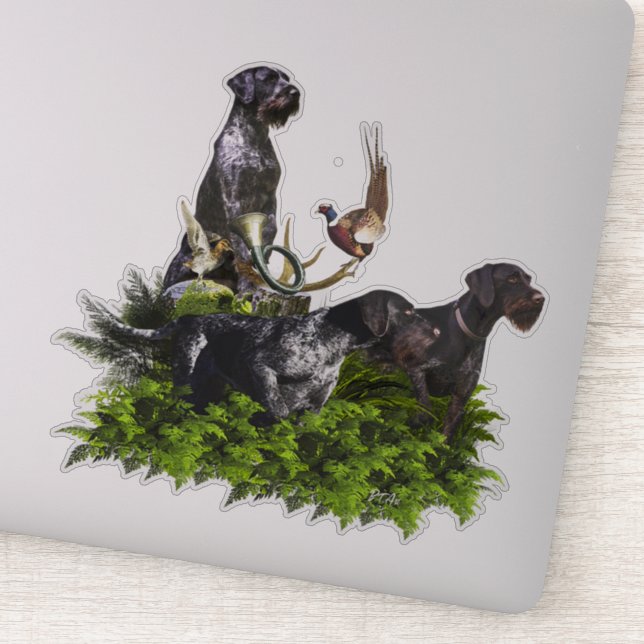  German Wirehaired Pointer     (Detail)