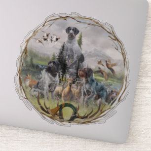 German Wirehaired Pointer  