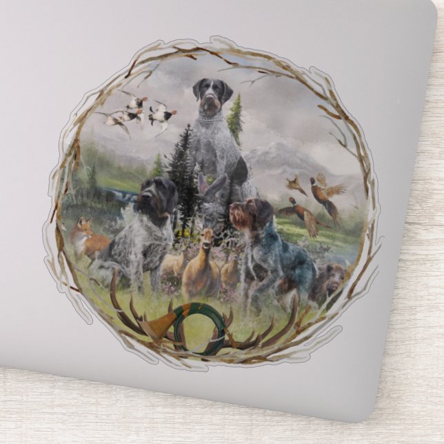 German Wirehaired Pointer   (Detail)