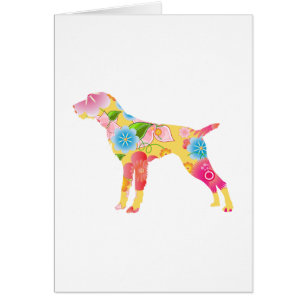 German Wirehaired Pointer