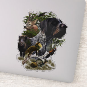  German Wirehaired Pointer    