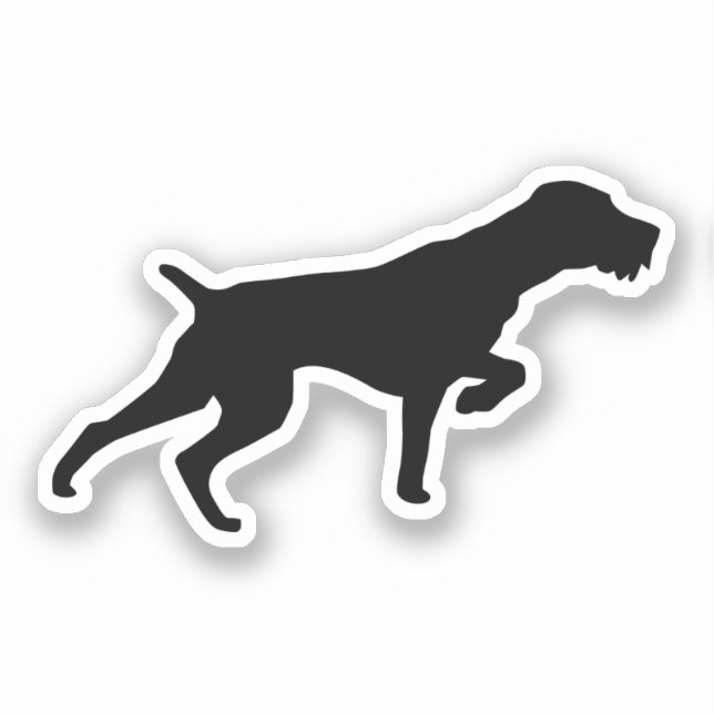German Wirehaired Pointer (Front)