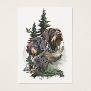 German Wirehaired Pointer