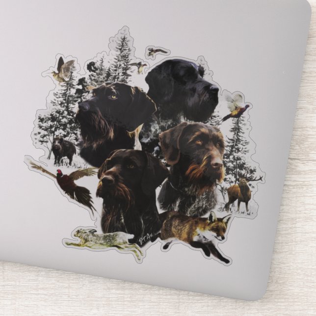  German Wirehaired Pointer     (Detail)