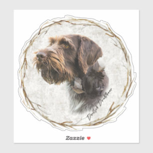 German Wirehaired Pointer     