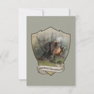 German Wirehaired Pointer, Boar Hunting