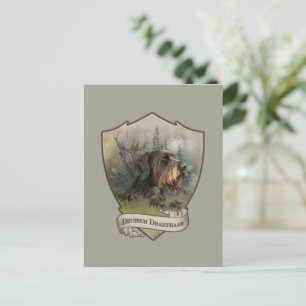 German Wirehaired Pointer, Boar Hunting   Postcard