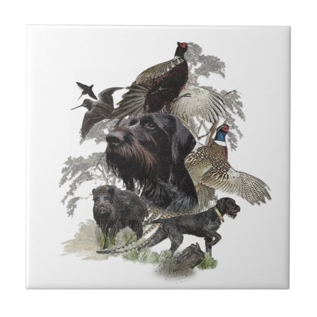 German Wirehaired Pointer    Ceramic Tile (Front)