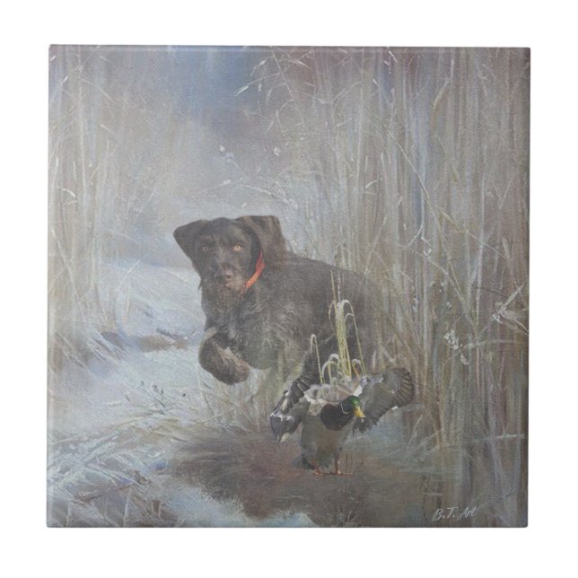  German Wirehaired Pointer Ceramic Tile (Front)