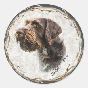 German Wirehaired Pointer      Classic Round Sticker