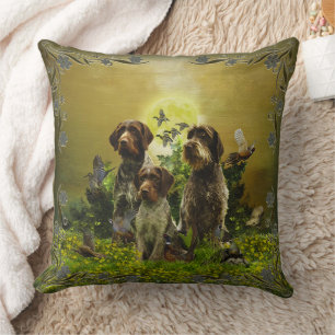  German Wirehaired Pointer     Cushion