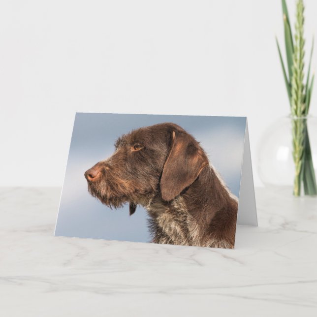 German Wirehaired Pointer Dog Card (Front)