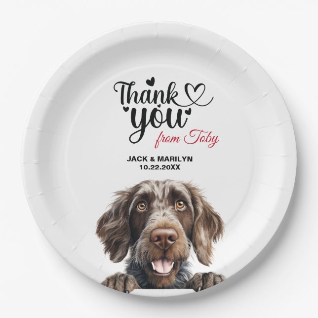 German Wirehaired Pointer Dog Wedding Reception Paper Plate (Front)