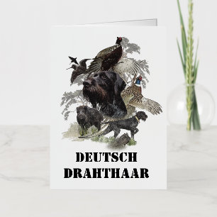German Wirehaired Pointer     Foil Greeting Card