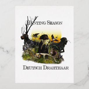  German Wirehaired Pointer     Foil Holiday Postcard