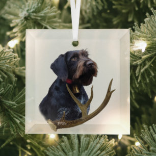 German Wirehaired Pointer   Glass Tree Decoration
