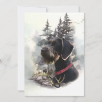 German Wirehaired Pointer, GWP