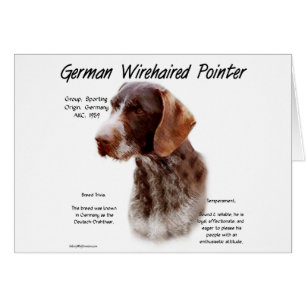 German Wirehaired Pointer History Design