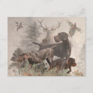  German Wirehaired Pointer     Holiday Postcard
