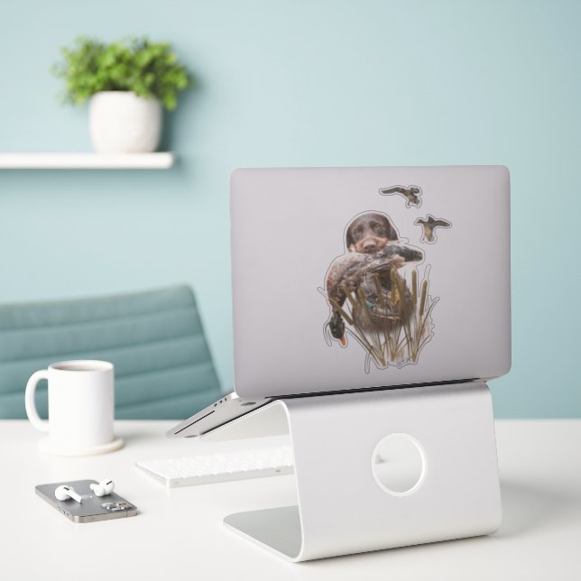 German Wirehaired Pointer hunting a duck (Laptop On Desk)