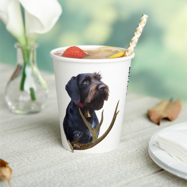  German Wirehaired Pointer     Paper Cups (Insitu)