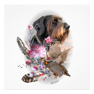 German Wirehaired Pointer Photo Print