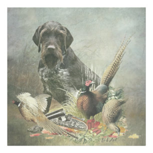 German Wirehaired Pointer Photo Print