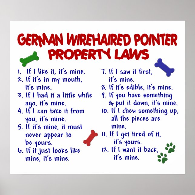 GERMAN WIREHAIRED POINTER PL2 POSTER (Front)