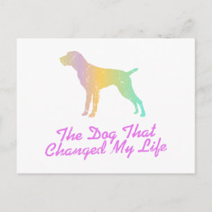 German Wirehaired Pointer Postcard