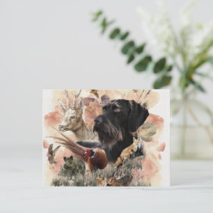 German Wirehaired Pointer Postcard