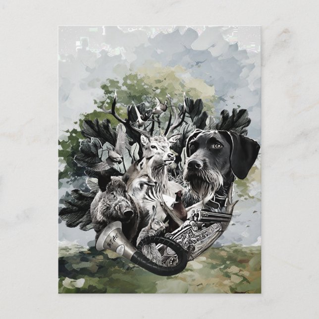 German Wirehaired Pointer  Postcard (Front)