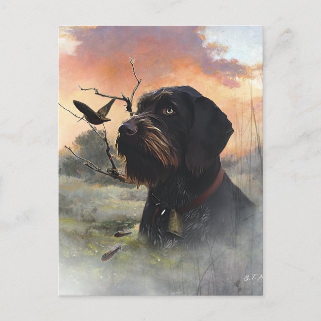 German Wirehaired Pointer Postcard (Front)
