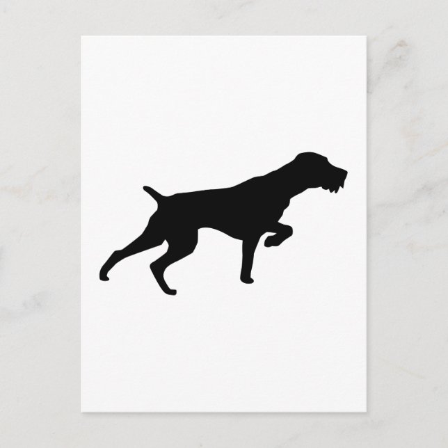 German Wirehaired Pointer Postcard (Front)