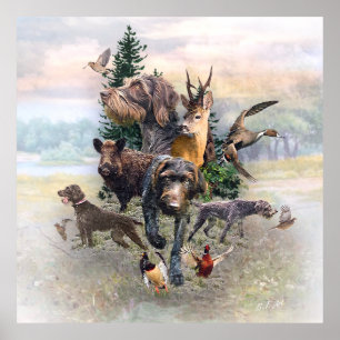 German Wirehaired Pointer   Poster