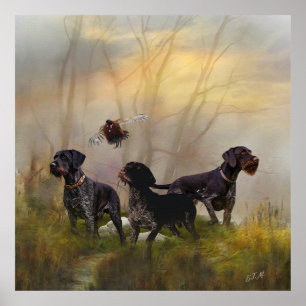  German Wirehaired Pointer   Poster