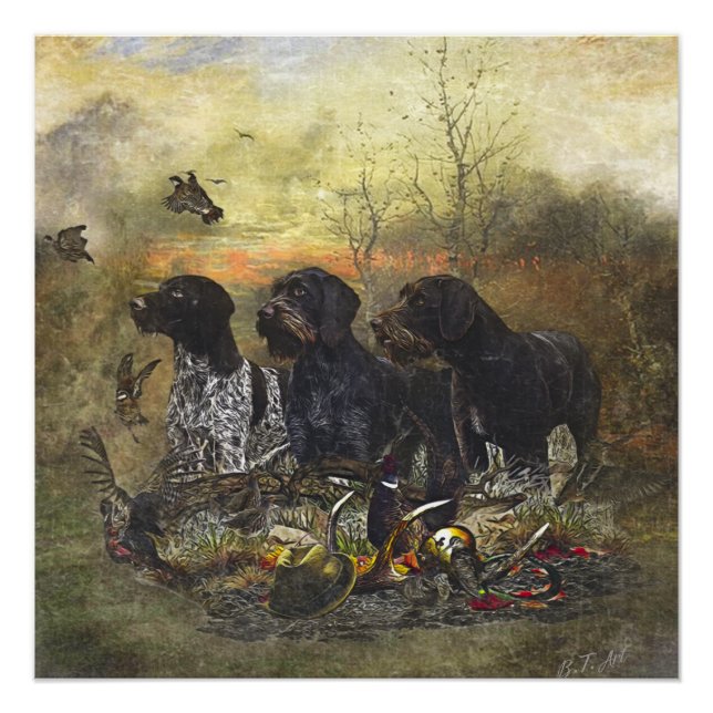 German Wirehaired Pointer    Poster (Front)