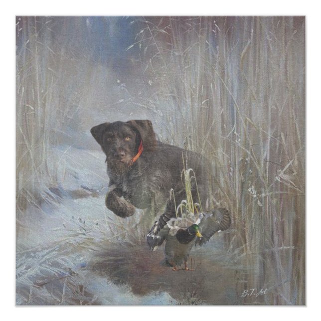  German Wirehaired Pointer Poster (Front)