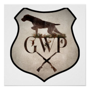 German Wirehaired Pointer Poster