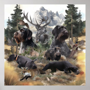German Wirehaired Pointer   Poster