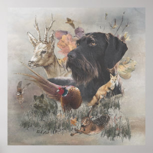 German Wirehaired Pointer    Poster