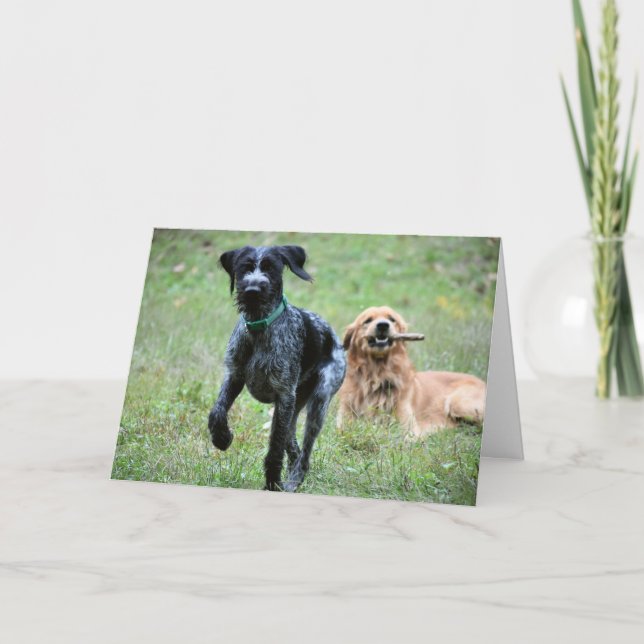 German Wirehaired Pointer Season's Greetings Card (Front)