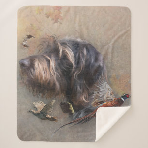 German Wirehaired Pointer   Sherpa Blanket