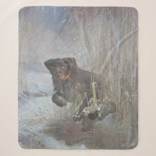  German Wirehaired Pointer Sherpa Blanket