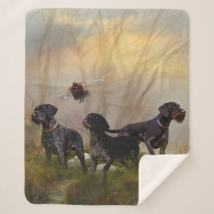  German Wirehaired Pointer      Sherpa Blanket