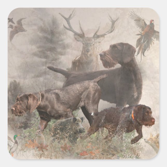  German Wirehaired Pointer     Square Sticker (Front)