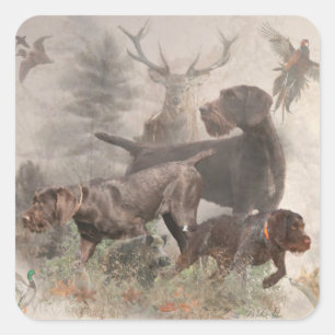  German Wirehaired Pointer     Square Sticker