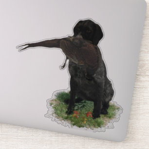 German Wirehaired Pointer  sticker